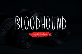 Bloodhound: The Display Font That Made My Brand Stand Out
