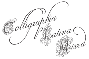 Calligraphia Latina Mixed: A Display Font for Distinctive Branding