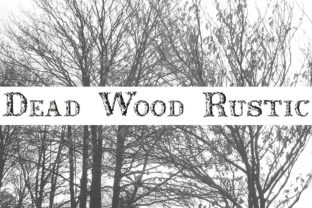 How Dead Wood Rustic Became My Go-To Display Font