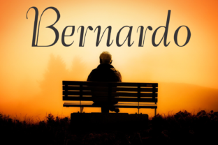 The Bernardo Family: A Display Font for Building Complete Brand Identities