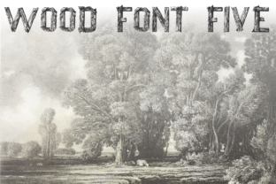 Wood Font Five Brings a Natural Rhythm to Your Editorial Pages